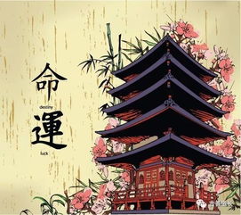 八字与工作不匹配怎么办？如何选择适合的住宅朝向？