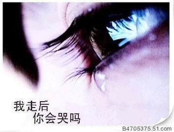 十二生肖的夜话