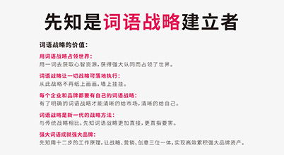 十较大行业定制化命名策略表