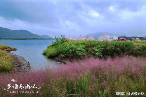 温馨提示（不一定靠谱）
