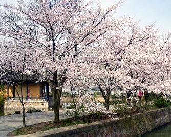 学生票价？别问了市场价格较低到爆