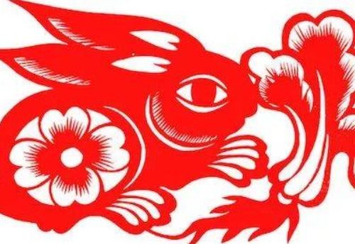 属兔老公和属龙老婆的婚姻意味着什么？