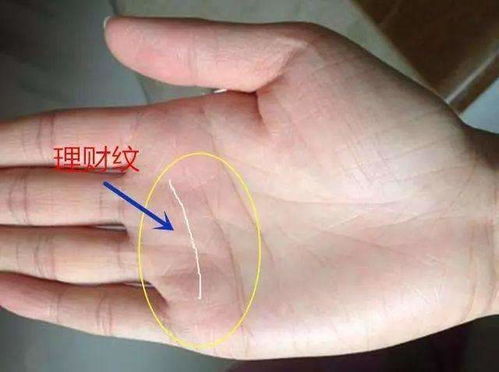 1. 断裂与续线的含义