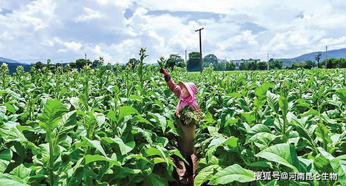 3. 施肥那些糟心事