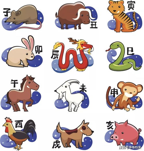 今期生肖为何出现在北方，明球玄机又是何生肖，请问是哪个生肖呢？