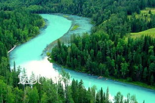 喀纳斯：一场精心策划的视觉骗局？