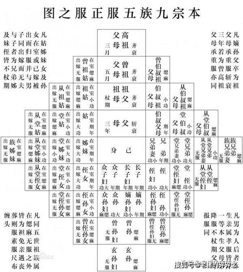 争议与探讨