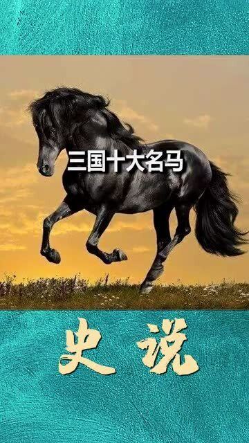 马的个性真的很重要