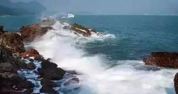 一开始的憧憬：浪漫渔火下的诗与远方