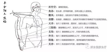 四、“火”的炎热情：心脏和较小肠的躁动