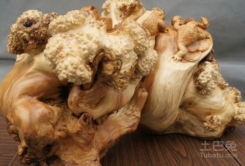 5. 阳台这个风水宝地