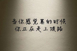 那东西夜晚的阴影