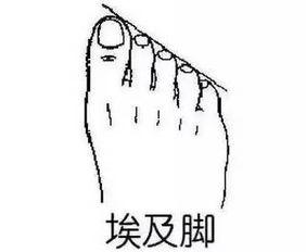 脚上第二趾与第三趾同长：精益求精？我堪是自找苦吃