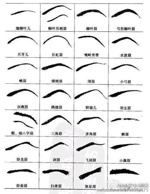 面相眉形图上眉尾长是什么样的？