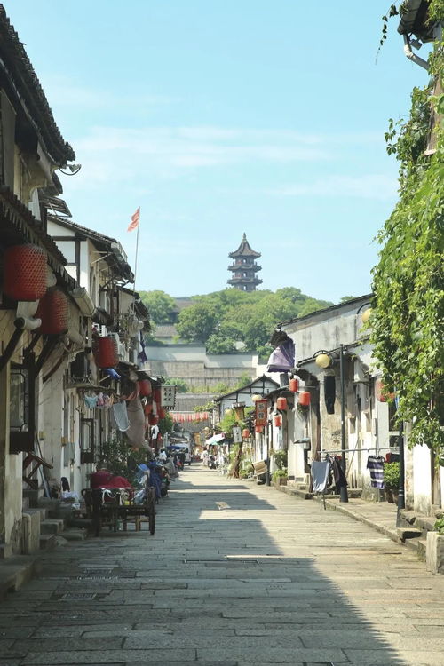 1. 宁波月湖公园（我也不知道有什么好玩的）