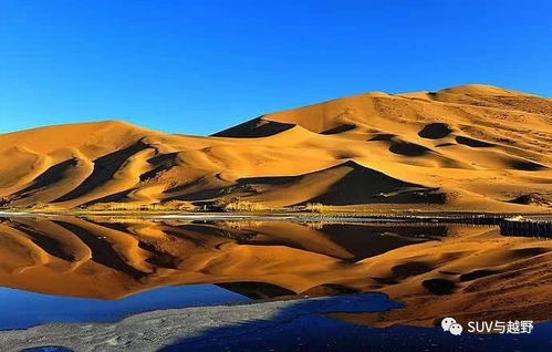2. 中俄界河旅行区：边境的浪漫与尴尬