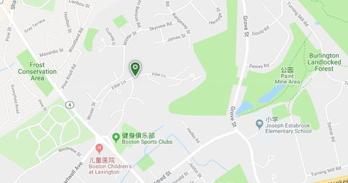 4.2 祭品挑选——别只买鸡腿！
