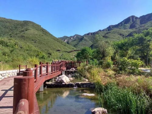 这鬼天气到底什么时候是个头？