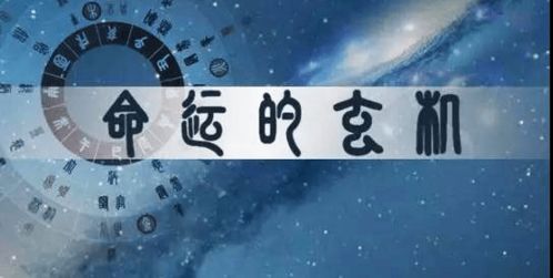 八字中偏财星透出究竟代表着什么样的财运和人生走向？