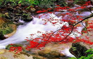 啊！云南！那个让人又爱又恨的地方！