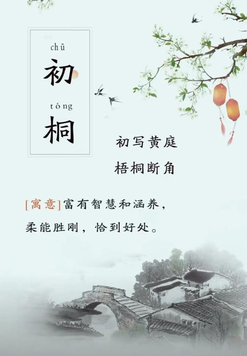 六、“洋气+优雅”的终极配方——随心所欲 + 小惊喜 = 完美！