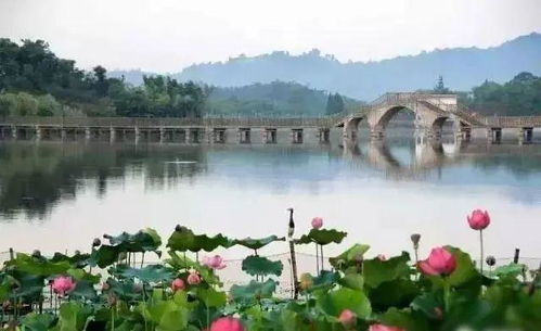 二、早起的鸟儿怎么吃早餐？——集合点&时间段安排