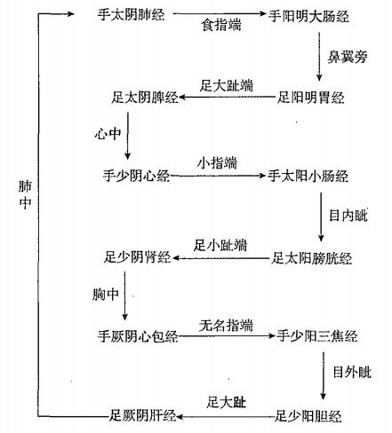 一、 十二经脉的奇妙分布：如同星座在夜空中的排列