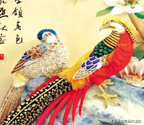 十二生肖未来遇贵人预示着什么好运？