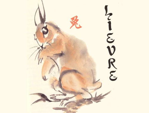 麦玲玲2026年属兔人学业运势详细版具体内容是什么？