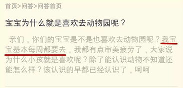 体验项目选择指南：2026年最新版