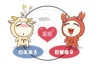 鸡飞狗跳的爱情：当暴躁白羊遇上倔强摩羯