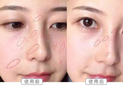 小眉毛是哪个生肖？花旦还是胆子小，一生肖指的是什么生肖？