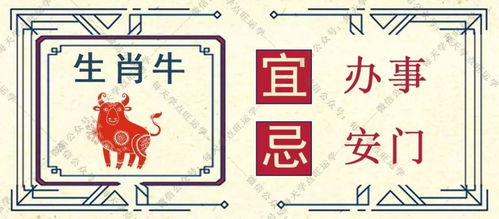 迷雾重重：我们对“运气”的误解