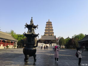 大雁塔·大唐芙蓉园——随便逛逛版