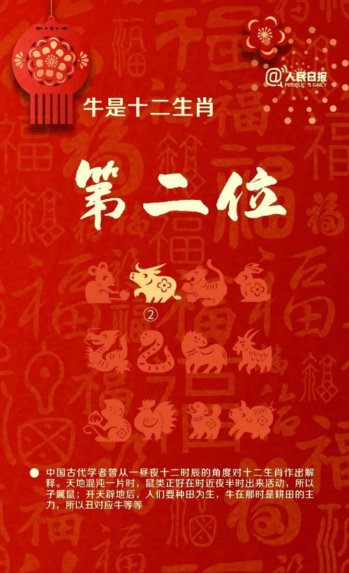 蛇年的玄机：为何如此讲究？