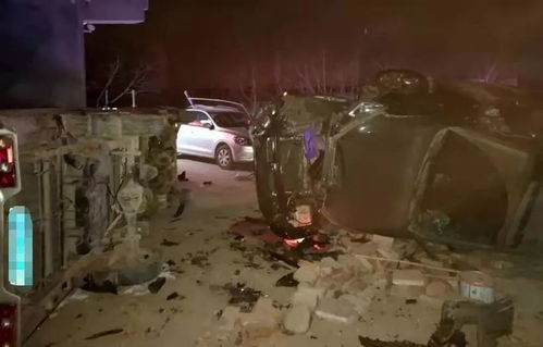 土象星座：金牛、 处女、摩羯的理性与恐惧