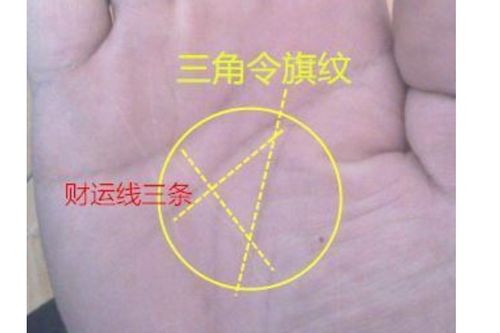 智慧线的不同形态及其含义