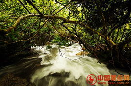 一、荔波较小七孔：那里的森林到底是不是未损较差？