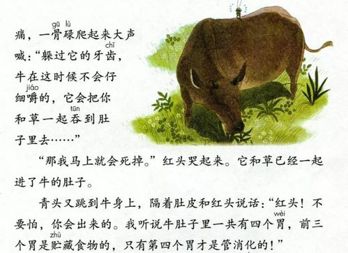 风轻云浄是什么生肖动物？