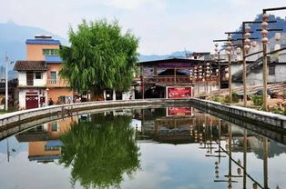 纸皮包子: 薄如蝉翼