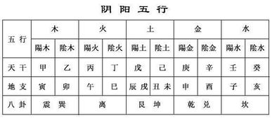 生肖配对：十二只动物教你谈恋爱