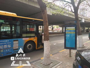 上海公交总站：一场混乱又迷人的城市冒险