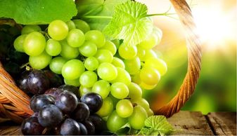 一、 野葡萄根——草根版“灵药”