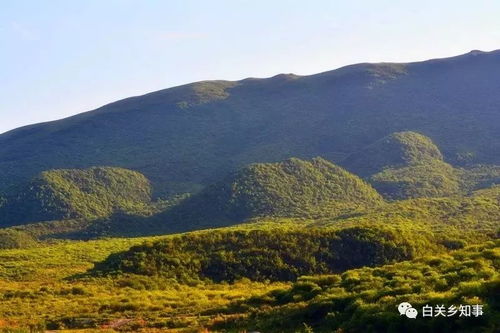 礼县好玩的,礼县风景