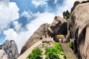 颠覆传统：龙黄山茶旅的创新之处