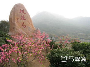 #2 桃花岛——传说中的武侠天堂
