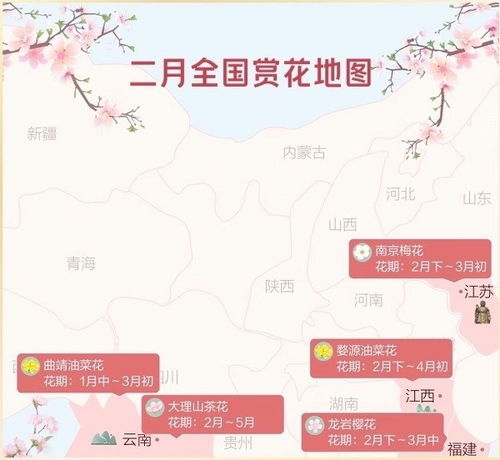六、潜在风险&平安提示—别让旅行变成惊悚片！