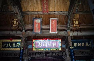 散步在藏书古街的迷雾里