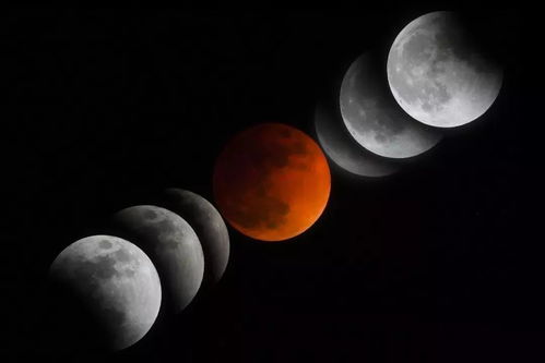 血月要吸血啦！