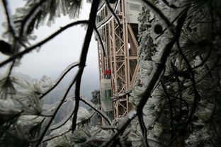 第二天：告别雪国仙境